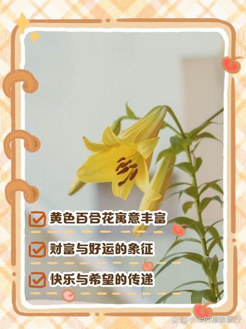 百合花的花语，十朵百合花的花语？-第3张图片-优品飞百科
