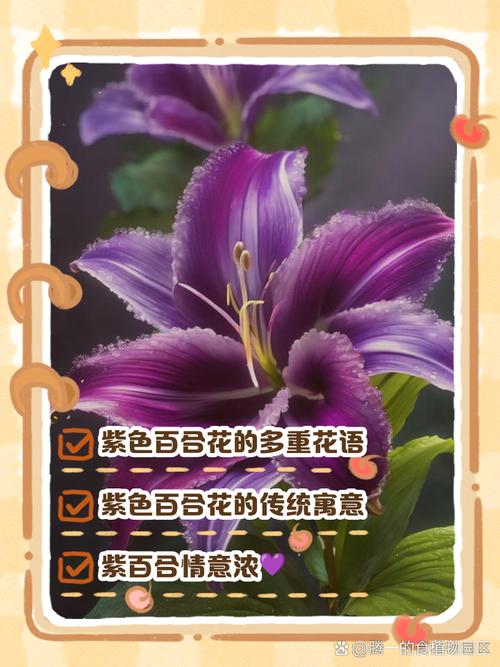 百合花的花语，十朵百合花的花语？-第4张图片-优品飞百科