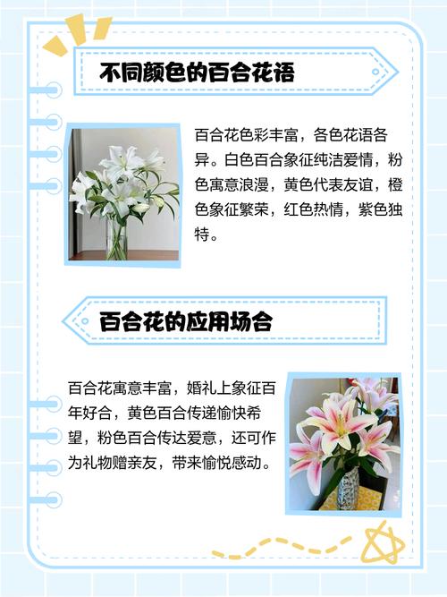 百合花的花语，十朵百合花的花语？-第5张图片-优品飞百科