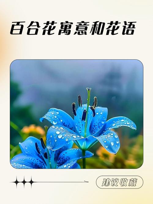 百合花的花语，十朵百合花的花语？-第7张图片-优品飞百科