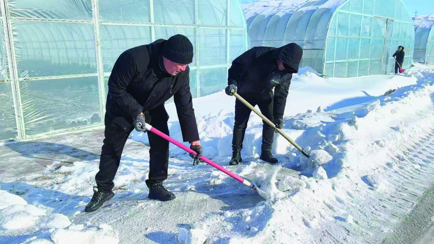 查哈阳天气预报？查哈阳天气预报几点下雨？-第1张图片-优品飞百科
