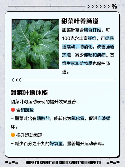 甜菜怎么吃，甜菜怎么吃图片-第3张图片-优品飞百科