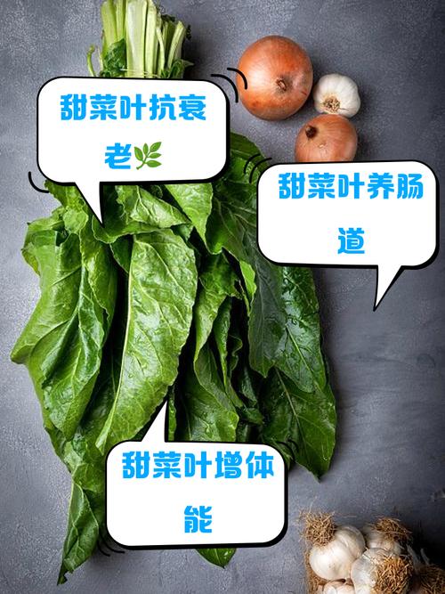 甜菜怎么吃，甜菜怎么吃图片-第4张图片-优品飞百科