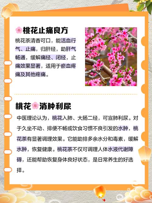 桃花有毒吗，家之桃花有毒吗-第2张图片-优品飞百科