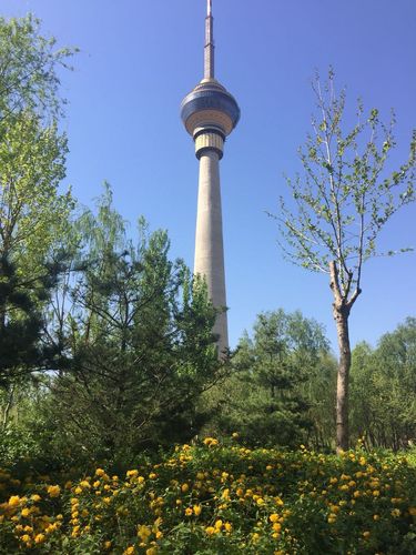 天气北京市海淀区？北京海淀区区天气？-第6张图片-优品飞百科