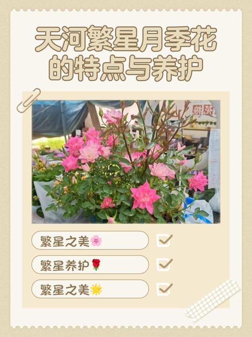 繁星花有毒吗？繁星花有毒吗对人体有害吗？-第4张图片-优品飞百科