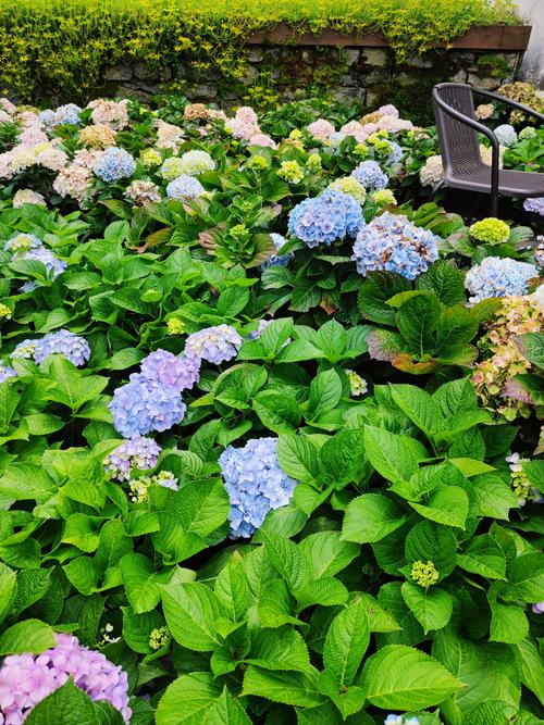 重庆涪陵天气预报，重庆涪陵天气预报40天查询百度？-第3张图片-优品飞百科