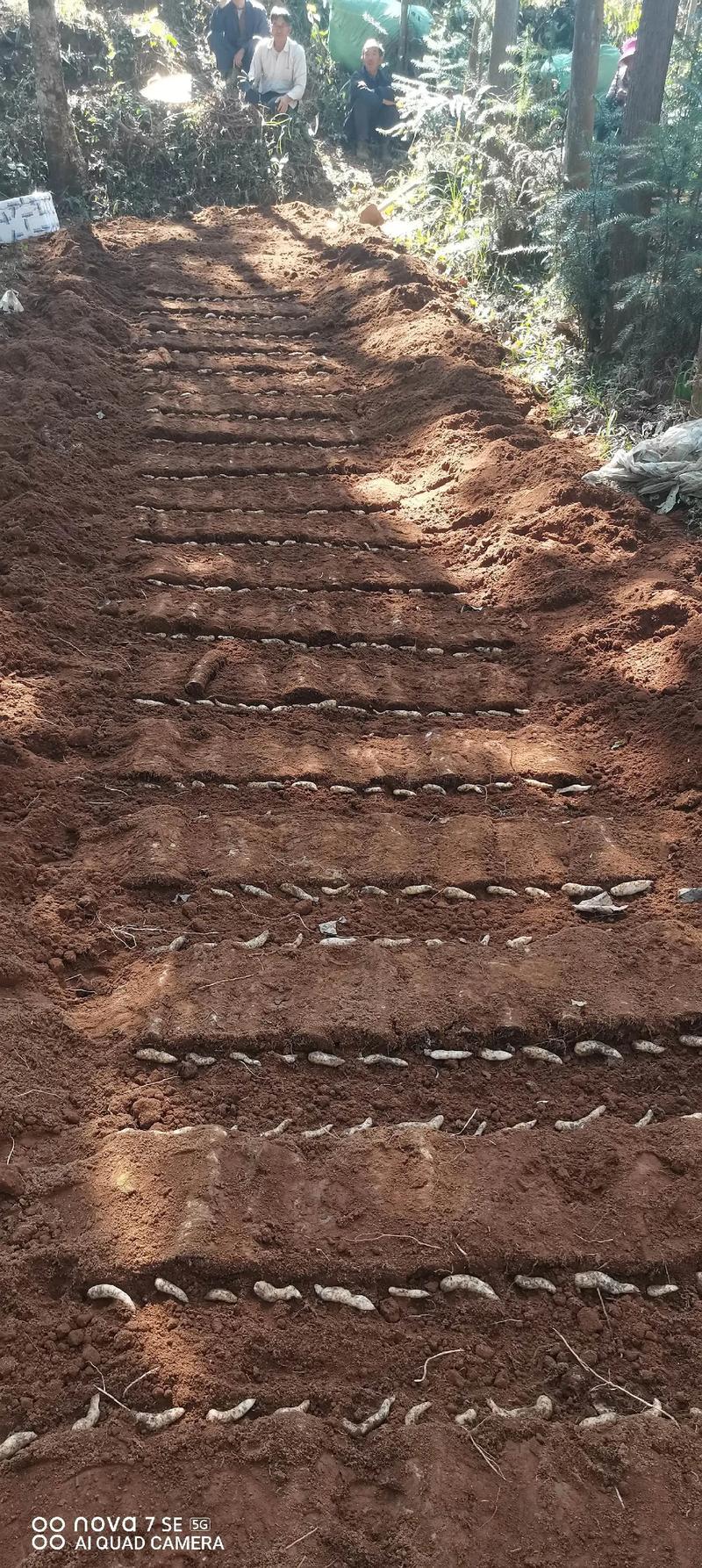 召夸天气预报，召夸天气预报24小时？-第4张图片-优品飞百科