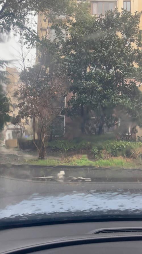 上海浦东新区天气预报？上海浦东新区天气预报40天准确查询？-第6张图片-优品飞百科