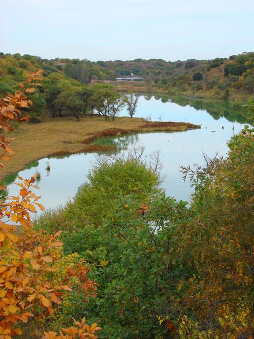 阜新彰武天气预报，阜新彰武天气预报查询-第5张图片-优品飞百科