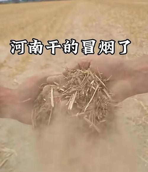 河南省社旗县天气预报，河南省社旗县天气预报情况?？-第1张图片-优品飞百科