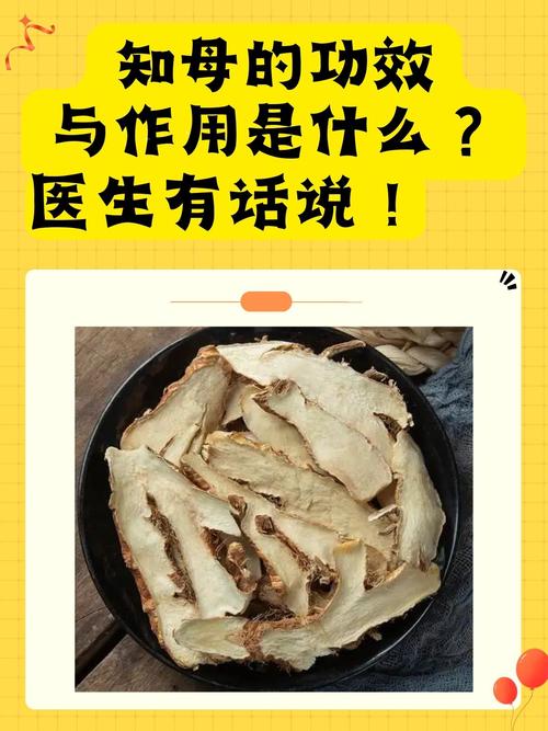 知母的功效与作用，知母的功效与作用及禁忌-第2张图片-优品飞百科