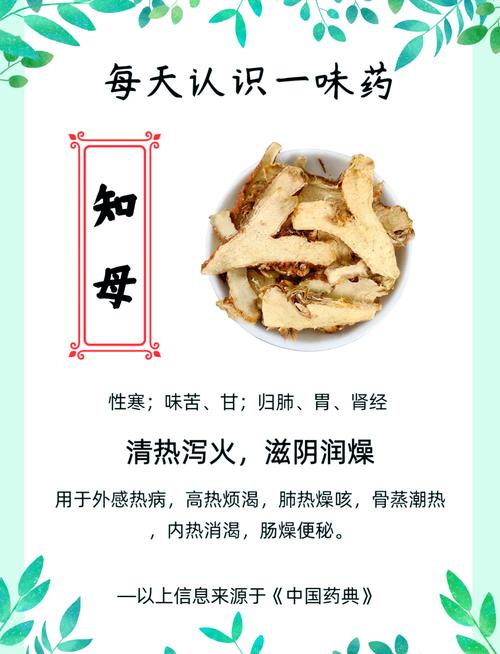 知母的功效与作用，知母的功效与作用及禁忌-第3张图片-优品飞百科