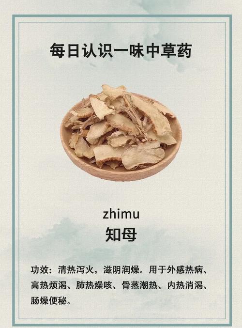 知母的功效与作用，知母的功效与作用及禁忌-第4张图片-优品飞百科