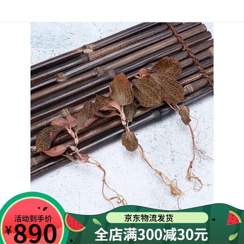 金线莲的费用（多少钱一斤），金线莲在市场上卖多少钱一斤啊-第5张图片-优品飞百科