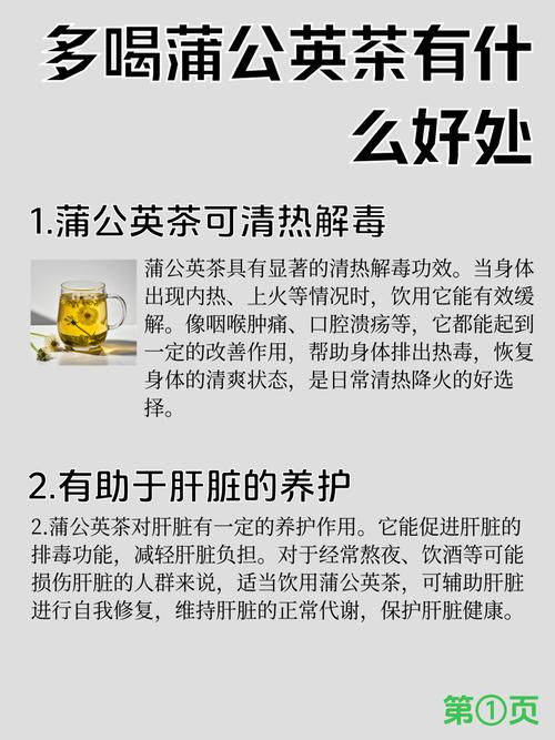 蒲公英茶可以天天喝吗？蒲公英茶可以天天喝吗会上火吗？-第1张图片-优品飞百科
