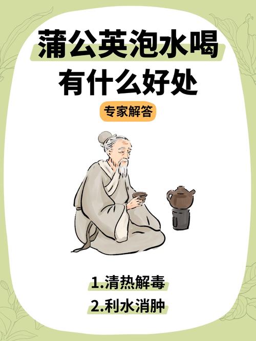 蒲公英茶可以天天喝吗？蒲公英茶可以天天喝吗会上火吗？-第3张图片-优品飞百科