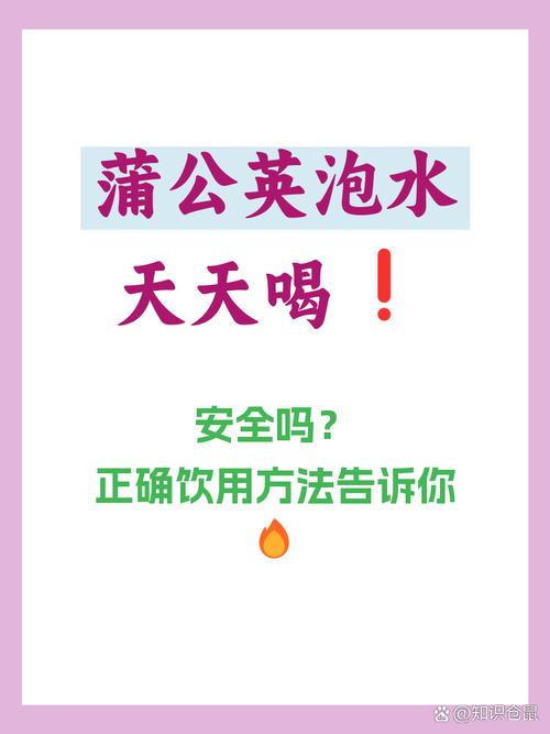 蒲公英茶可以天天喝吗？蒲公英茶可以天天喝吗会上火吗？-第4张图片-优品飞百科