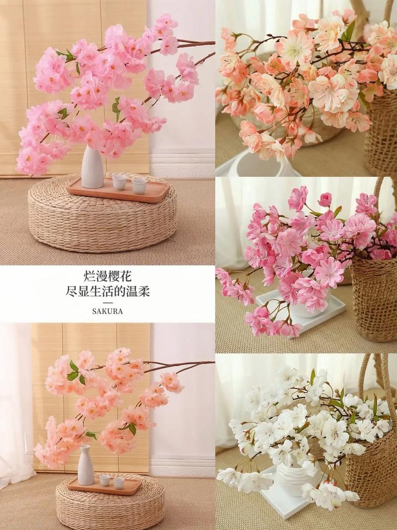 樱花可以放在室内吗?樱花能在屋里养吗?-第4张图片-优品飞百科 樱花可以放在室内吗?樱花能在屋里养吗?-第4张图片-优品飞百科