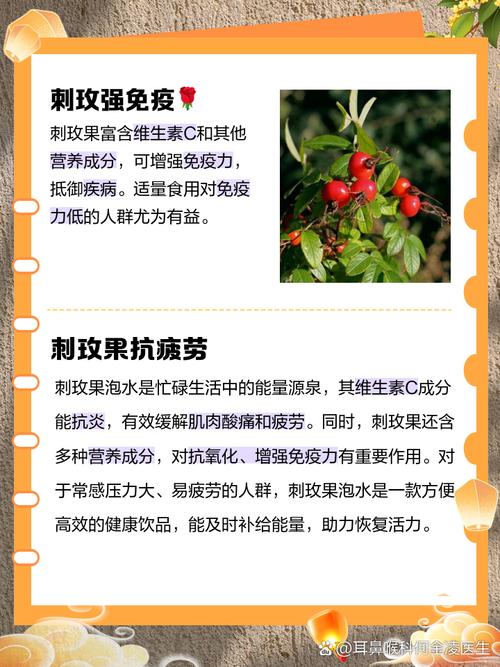 山刺玫的功效与作用，山刺花的功效-第2张图片-优品飞百科