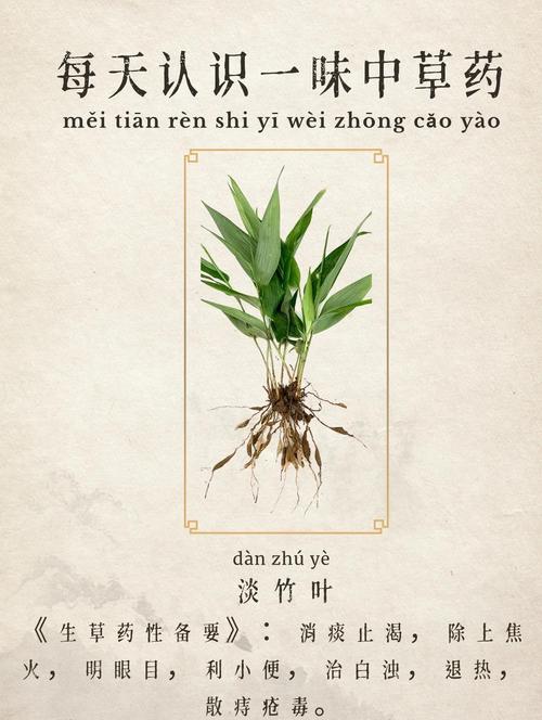 竹叶的功效与作用,竹叶的功效与作用禁忌?-第1张图片-优品飞百科 竹叶的功效与作用,竹叶的功效与作用禁忌?-第1张图片-优品飞百科