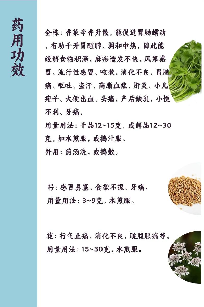 香菜的功效与作用，香菜怎么做好吃？香菜功效与作用的功效与作用点？-第1张图片-优品飞百科