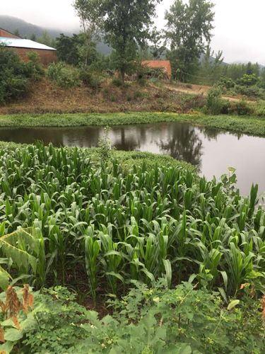 钟祥石牌天气预报，钟祥客店天气预报-第5张图片-优品飞百科
