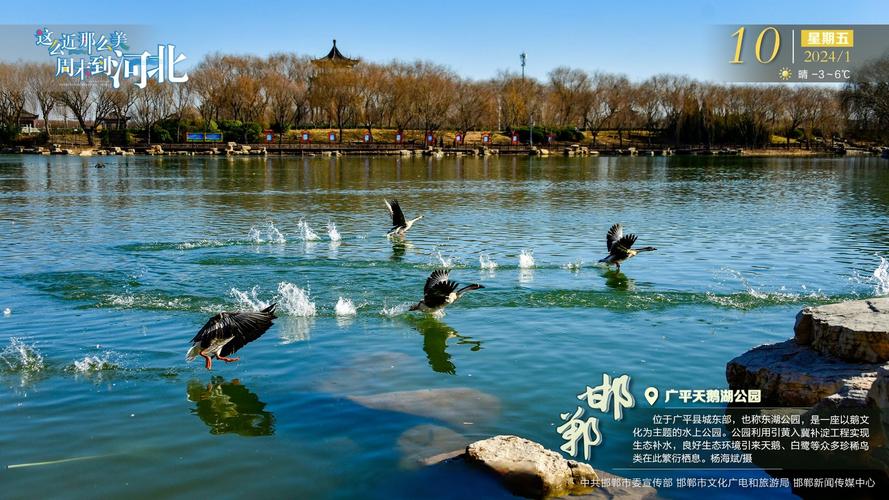 邯郸市邯山区天气预报，邯山区的天气预报-第1张图片-优品飞百科