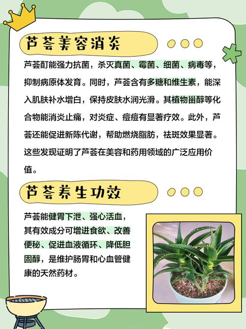 芦荟的功效与作用，芦荟的功效与作用及食用方法？-第5张图片-优品飞百科