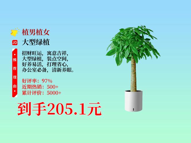 发财树的寓意，发财树买一个还是一对？发财树必须买一对吗？-第4张图片-优品飞百科