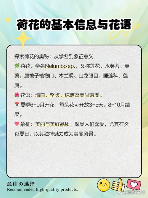 荷花的传说，荷花的传说故事简短？-第3张图片-优品飞百科