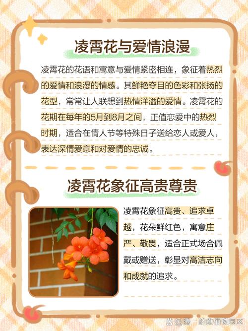 凌霄花的寓意象征，花语，凌霄花的寓意象征,花语是什么-第1张图片-优品飞百科