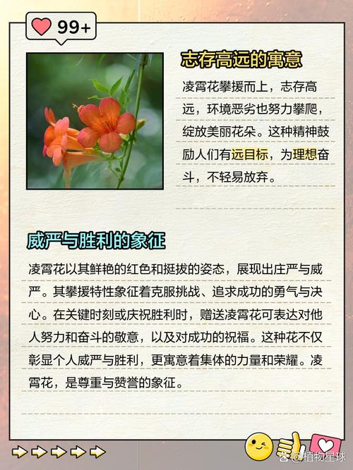 凌霄花的寓意象征，花语，凌霄花的寓意象征,花语是什么-第3张图片-优品飞百科