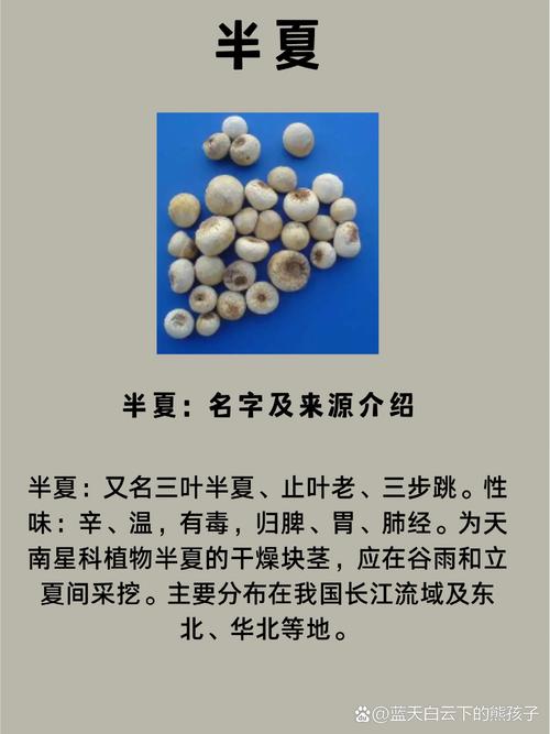 半夏多少钱一斤，半夏费用，半夏费用多少钱一克？-第2张图片-优品飞百科