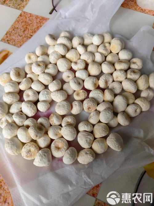 半夏多少钱一斤，半夏费用，半夏费用多少钱一克？-第6张图片-优品飞百科