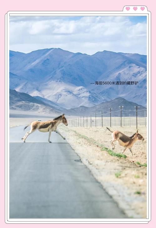 罗布泊天气预报，罗布泊天气预报30天-第1张图片-优品飞百科