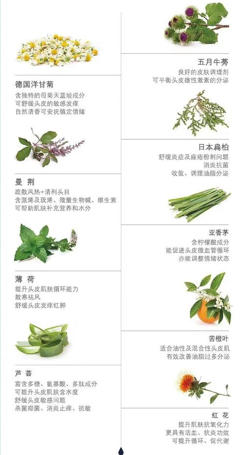 迷迭香是什么,有什么功效,迷迭香是什么,有什么功效呢?-第5张图片-优品飞百科 迷迭香是什么,有什么功效,迷迭香是什么,有什么功效呢?-第5张图片-优品飞百科