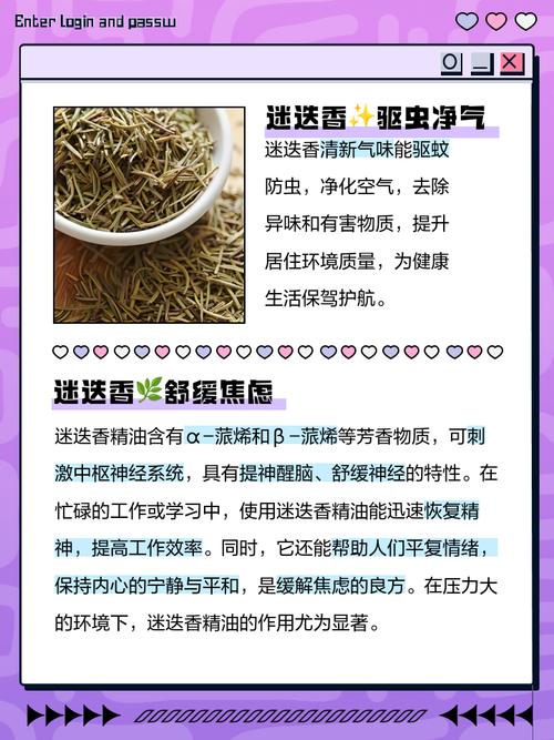 迷迭香是什么,有什么功效,迷迭香是什么,有什么功效呢?-第6张图片-优品飞百科 迷迭香是什么,有什么功效,迷迭香是什么,有什么功效呢?-第6张图片-优品飞百科