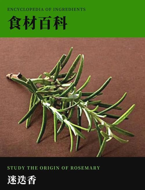 迷迭香是什么,有什么功效,迷迭香是什么,有什么功效呢?-第7张图片-优品飞百科 迷迭香是什么,有什么功效,迷迭香是什么,有什么功效呢?-第7张图片-优品飞百科