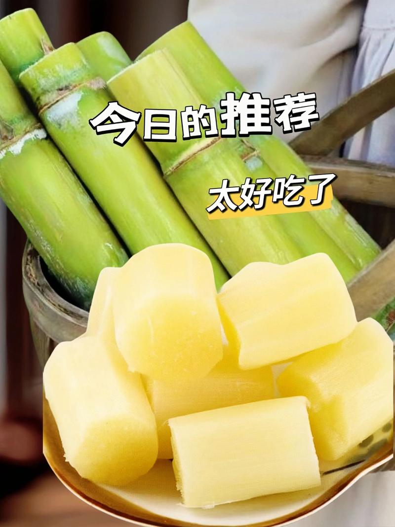 甘蔗是水果吗，甘蔗几月种植，甘蔗是什么季节的产物-第4张图片-优品飞百科