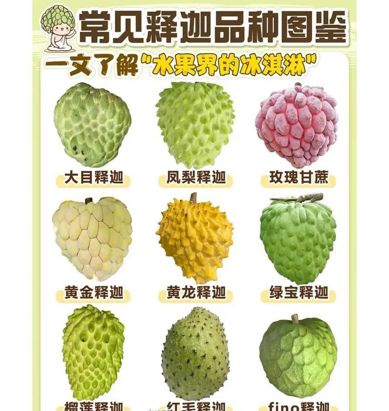 释迦果的功效与作用？释迦果的功效与作用图片？