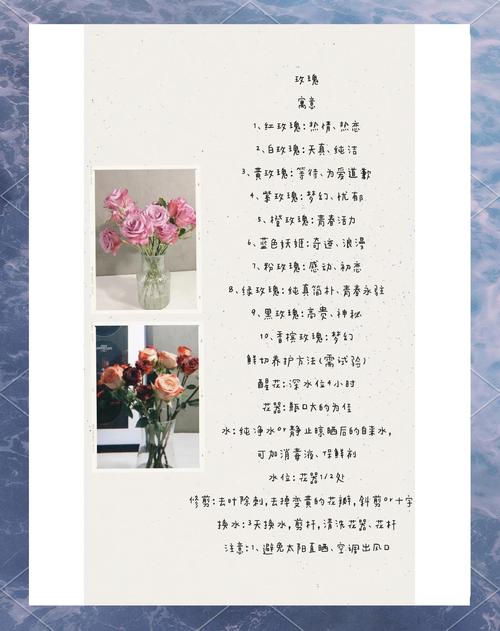 玫瑰花的食用价值，玫瑰花的营养价值和药用价值？-第5张图片-优品飞百科