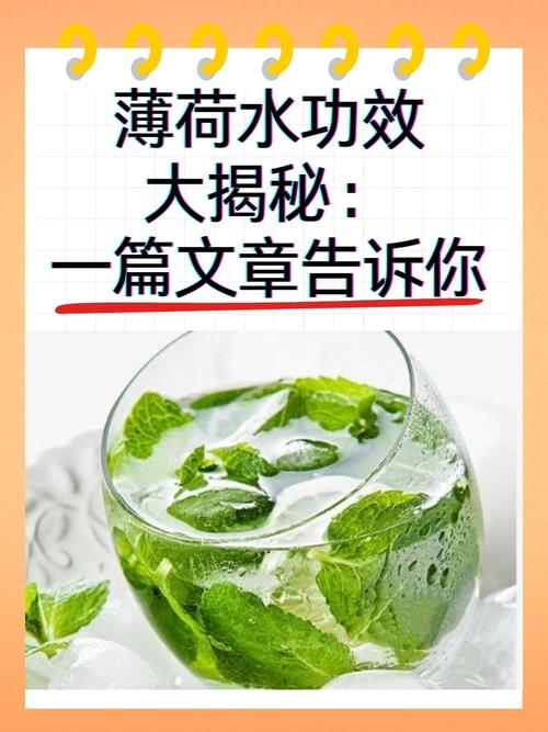 薄荷泡水喝有什么好处？薄荷泡水喝有什么好处和功效？-第2张图片-优品飞百科