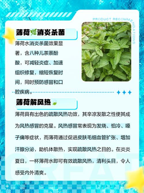薄荷泡水喝有什么好处？薄荷泡水喝有什么好处和功效？-第4张图片-优品飞百科