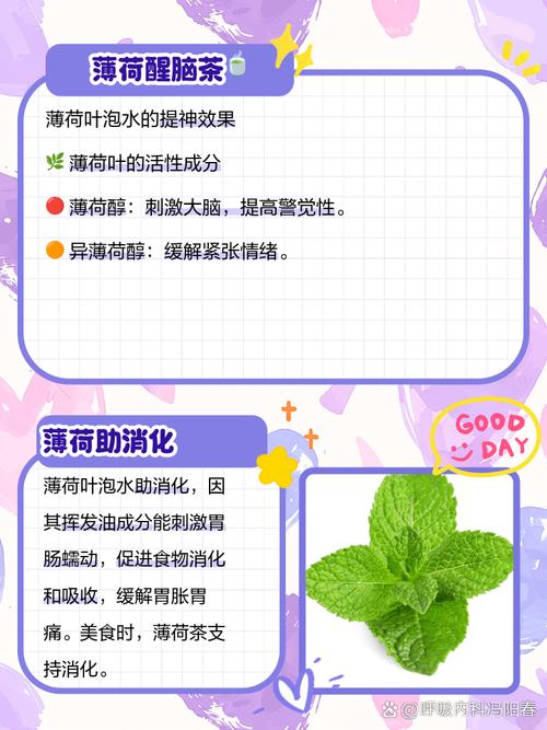 薄荷泡水喝有什么好处？薄荷泡水喝有什么好处和功效？-第5张图片-优品飞百科