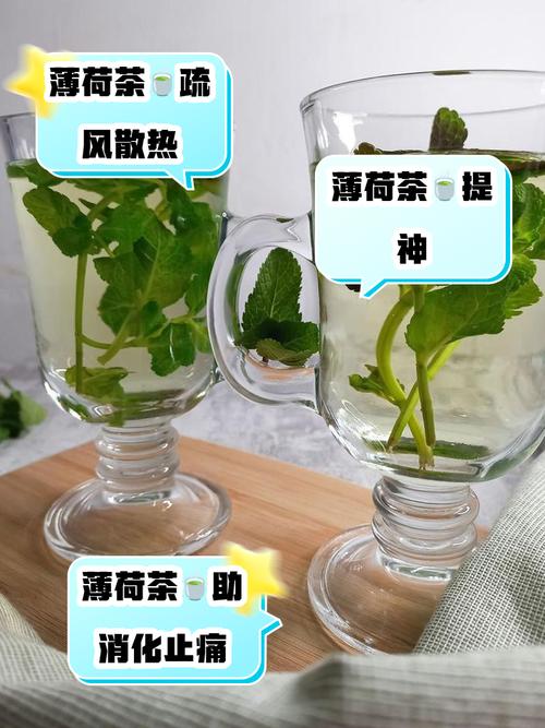 薄荷泡水喝有什么好处？薄荷泡水喝有什么好处和功效？-第7张图片-优品飞百科