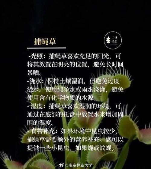 捕蝇草的特点，对人有危害吗？捕蝇草有毒吗?有什么作用？-第7张图片-优品飞百科
