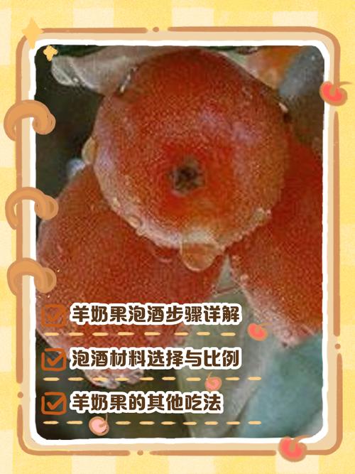 羊奶果的功效和作用？牛奶苹果汁的功效作用？-第3张图片-优品飞百科