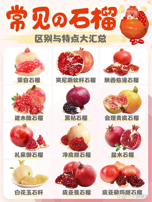 石榴寓意是什么，石榴寓意是什么意思-第2张图片-优品飞百科