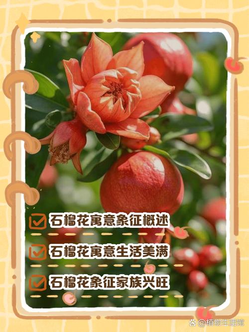 石榴寓意是什么，石榴寓意是什么意思-第5张图片-优品飞百科